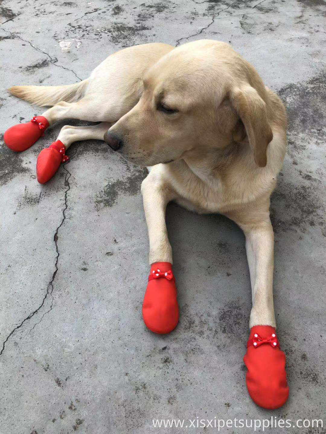 Waterproof Rain Silicone Quality-Assured New Fashion New Design Pet Socks,Pet Dog Socks